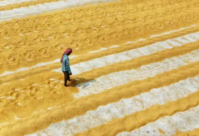 Image Style 01 _ 16_9 (2)