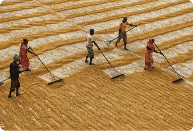 Image Style 03 _ 3_2 (Scroll cards) (1)