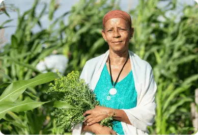 Image Style 03 _ 3_2 (Scroll cards)