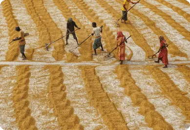 Image Style 03 _ 3_2 (Scroll cards) (2)