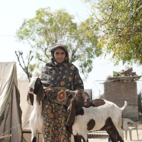 What Is Qurbani in Islam and Why It Matters