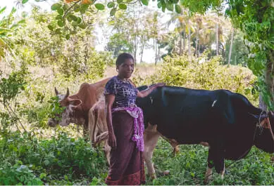 Image Style 03 _ 3_2 (Scroll cards)-1 (2)