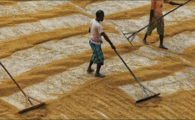 Hero Image _ Style 02 (2) (1)