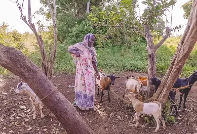 IH Livelihoods 2020 (15 of 55) 1