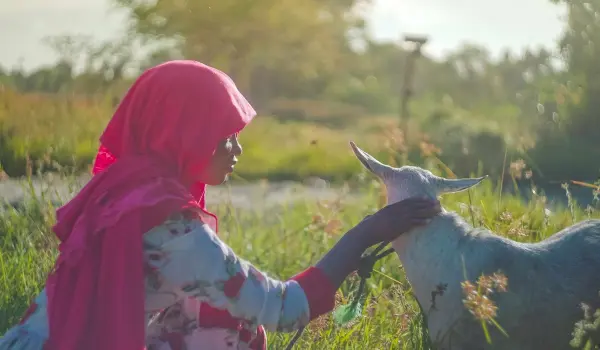 IH-Qurbani-2021-Campaign-Support-Photo-min-1200×802