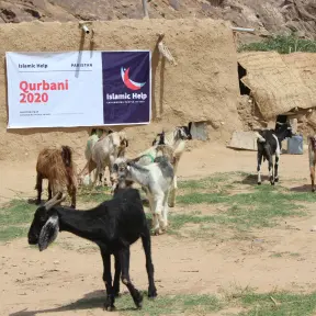 Is Qurbani Mandatory in Islam and Who Must Give It?